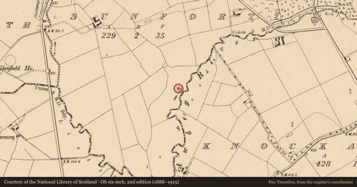 Ordnance Survey six-inch map, 2nd edition (1888–1915) covering the location of Fulacht fia, Sunfort, County Cork, with a pin at the register's coordinates