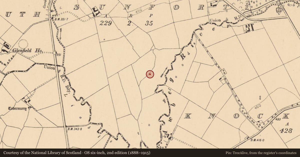 Ordnance Survey six-inch map, 2nd edition (1888–1915) covering the location of Fulacht fia, Sunfort, County Cork, with a pin at the register's coordinates