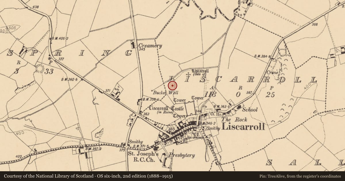 Ordnance Survey six-inch map, 2nd edition (1888–1915) covering the location of Earthwork, Liscarroll, County Cork, with a pin at the register's coordinates
