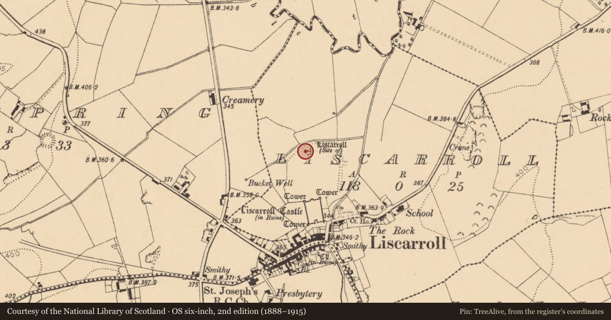 Ordnance Survey six-inch map, 2nd edition (1888–1915) covering the location of Enclosure, Liscarroll, County Cork, with a pin at the register's coordinates