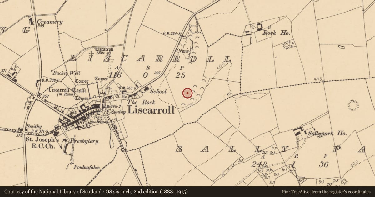 Ordnance Survey six-inch map, 2nd edition (1888–1915) covering the location of Ringfort - rath, Liscarroll, County Cork, with a pin at the register's coordinates