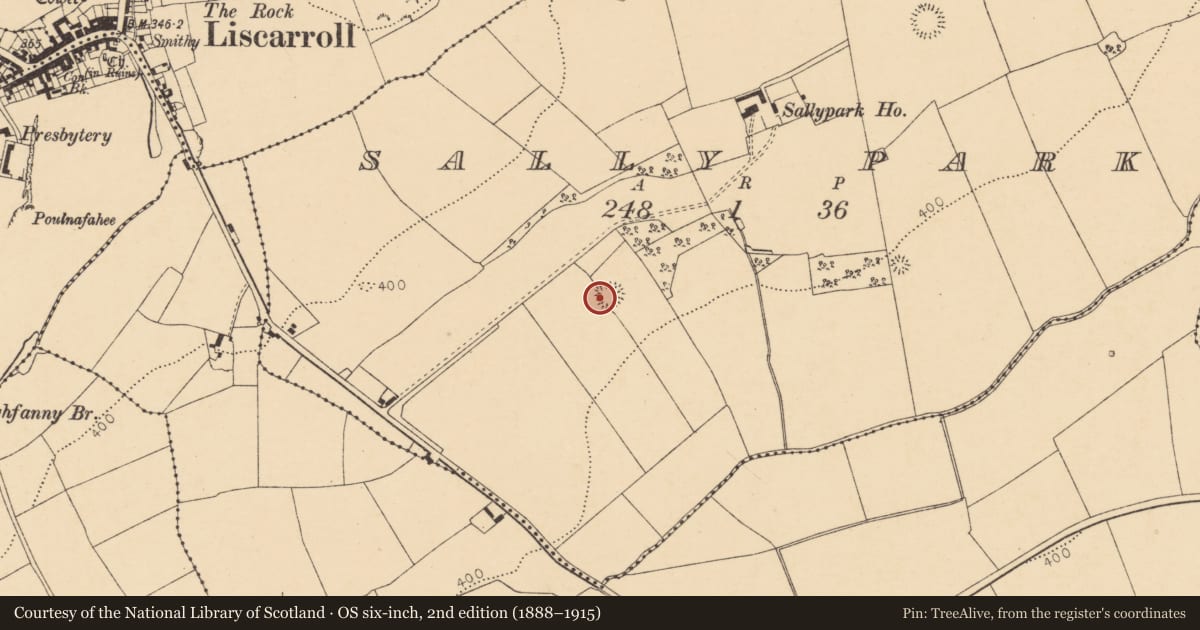 Ordnance Survey six-inch map, 2nd edition (1888–1915) covering the location of Ringfort - rath, Sallypark, County Cork, with a pin at the register's coordinates