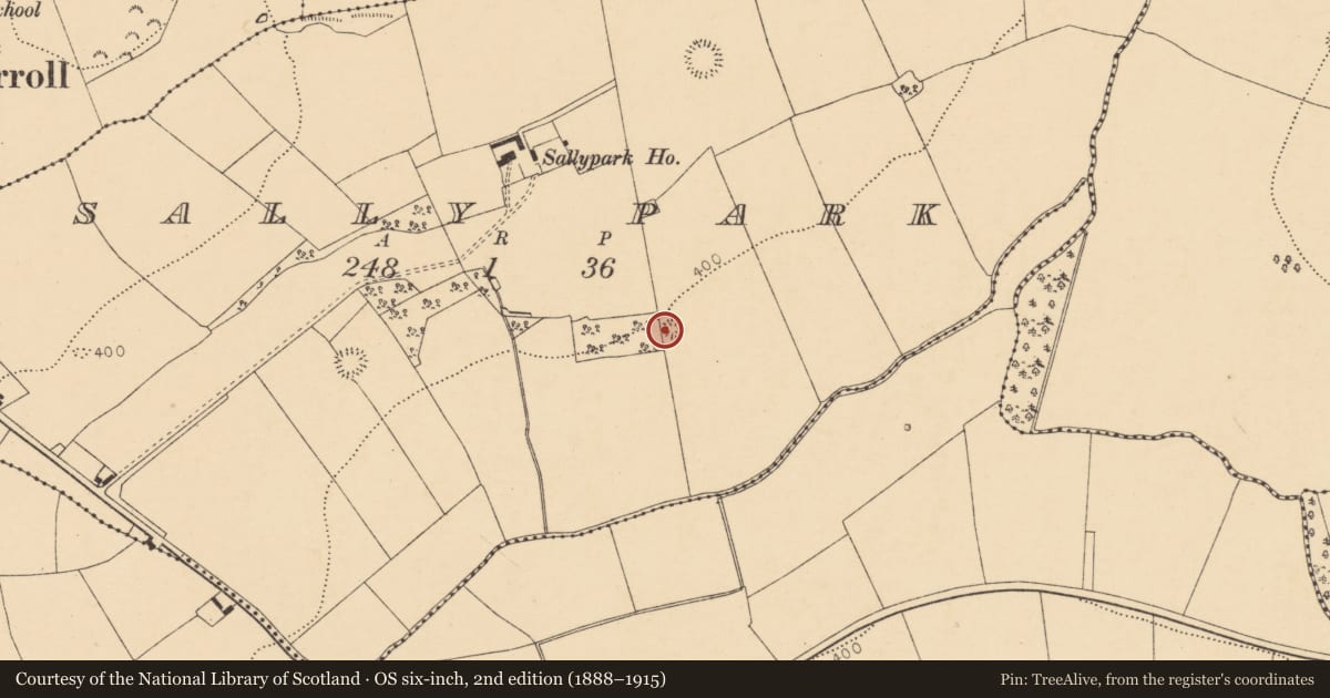 Ordnance Survey six-inch map, 2nd edition (1888–1915) covering the location of Ringfort - rath, Sallypark, County Cork, with a pin at the register's coordinates