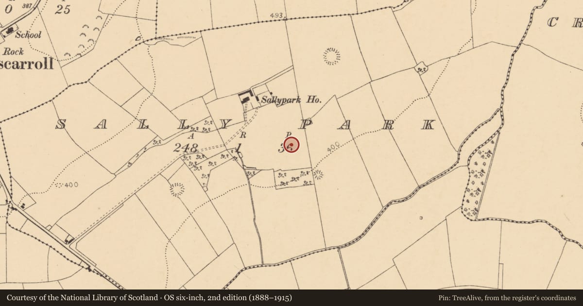 Ordnance Survey six-inch map, 2nd edition (1888–1915) covering the location of Enclosure, Sallypark, County Cork, with a pin at the register's coordinates