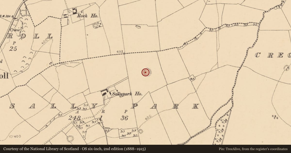 Ordnance Survey six-inch map, 2nd edition (1888–1915) covering the location of Ringfort - rath, Sallypark, County Cork, with a pin at the register's coordinates