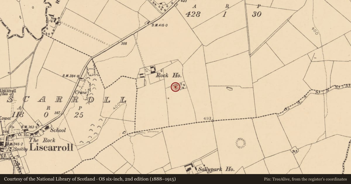 Ordnance Survey six-inch map, 2nd edition (1888–1915) covering the location of Ringfort - rath, Knockardbane, County Cork, with a pin at the register's coordinates