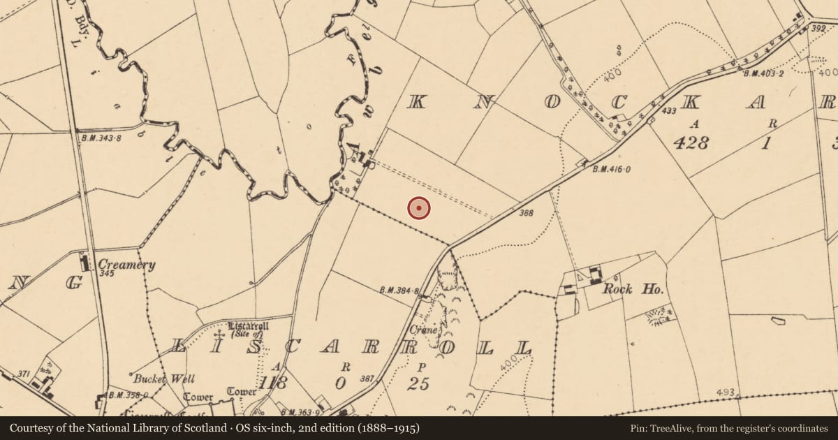 Ordnance Survey six-inch map, 2nd edition (1888–1915) covering the location of Standing stone, Knockardbane, County Cork, with a pin at the register's coordinates