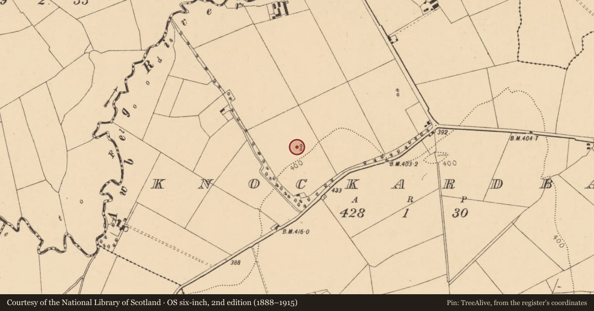 Ordnance Survey six-inch map, 2nd edition (1888–1915) covering the location of Designed landscape - tree-ring, Knockardbane, County Cork, with a pin at the register's coordinates