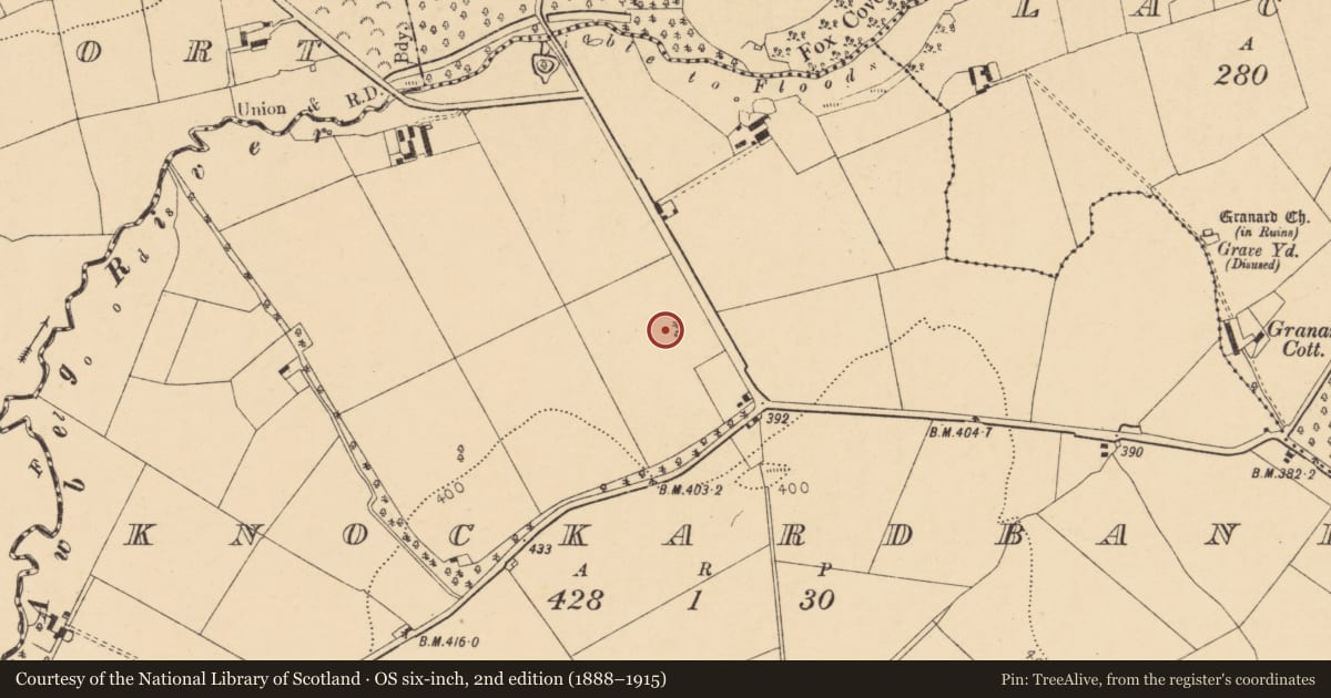 Ordnance Survey six-inch map, 2nd edition (1888–1915) covering the location of Designed landscape - tree-ring, Knockardbane, County Cork, with a pin at the register's coordinates