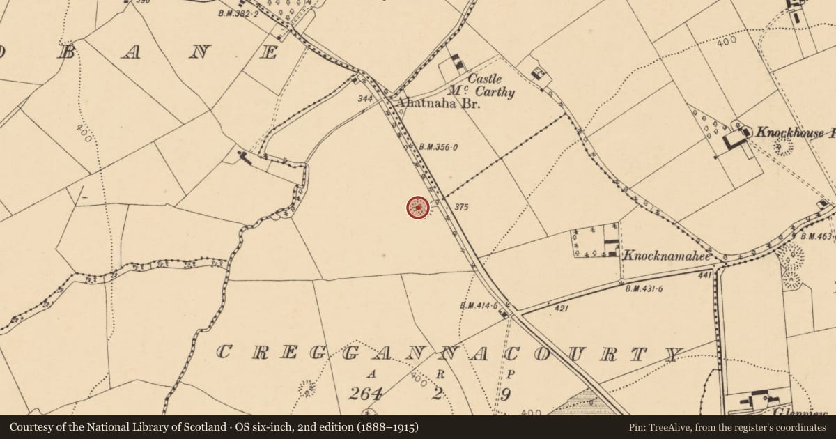 Ordnance Survey six-inch map, 2nd edition (1888–1915) covering the location of Ringfort - rath, Creggannacourty, County Cork, with a pin at the register's coordinates