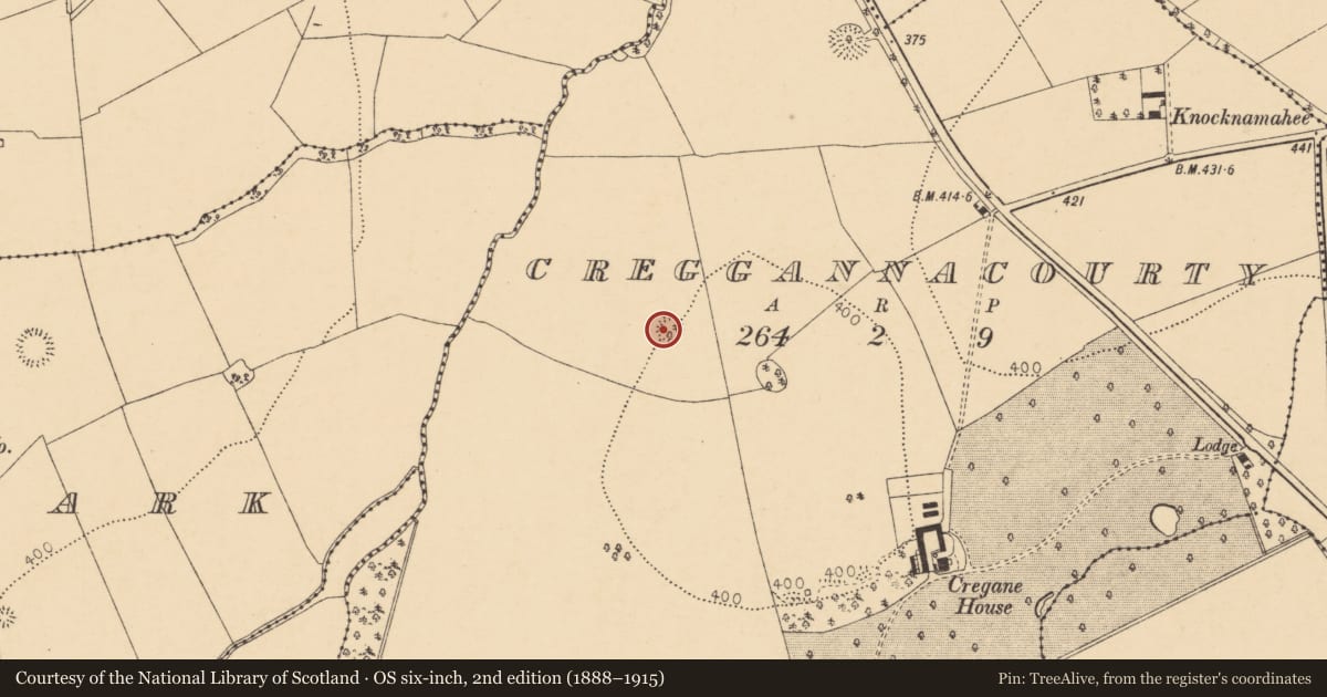 Ordnance Survey six-inch map, 2nd edition (1888–1915) covering the location of Ringfort - rath, Creggannacourty, County Cork, with a pin at the register's coordinates