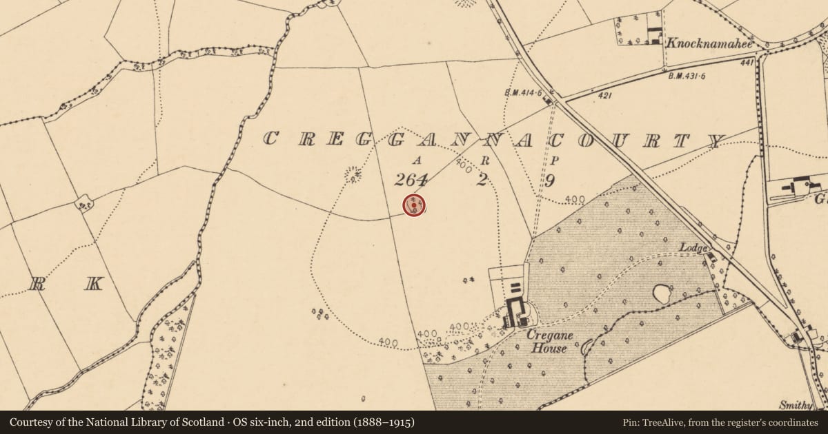 Ordnance Survey six-inch map, 2nd edition (1888–1915) covering the location of Enclosure, Creggannacourty, County Cork, with a pin at the register's coordinates