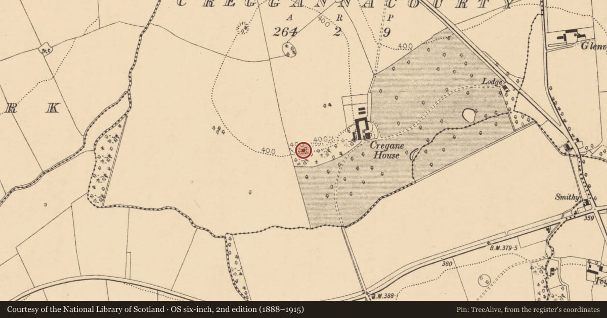 Ordnance Survey six-inch map, 2nd edition (1888–1915) covering the location of Kiln - lime, Creggannacourty, County Cork, with a pin at the register's coordinates