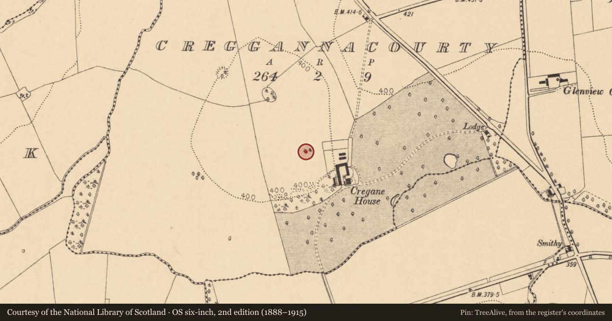 Ordnance Survey six-inch map, 2nd edition (1888–1915) covering the location of Quarry, Creggannacourty, County Cork, with a pin at the register's coordinates