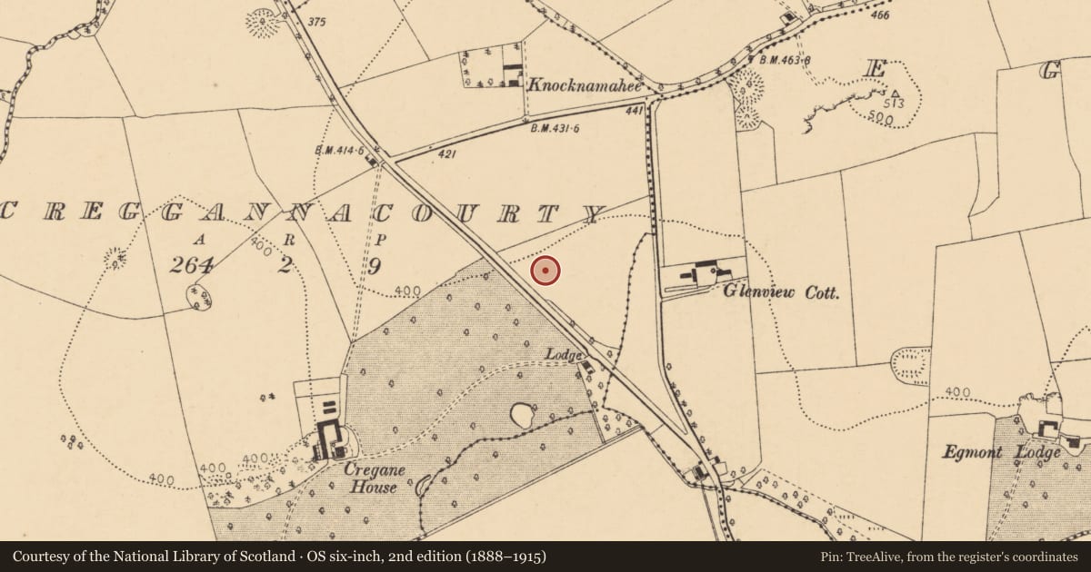Ordnance Survey six-inch map, 2nd edition (1888–1915) covering the location of Ringfort - rath, Creggannacourty, County Cork, with a pin at the register's coordinates