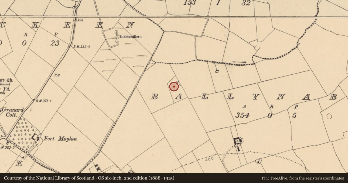 Ordnance Survey six-inch map, 2nd edition (1888–1915) covering the location of Fulacht fia, Ballynaboul, County Cork, with a pin at the register's coordinates
