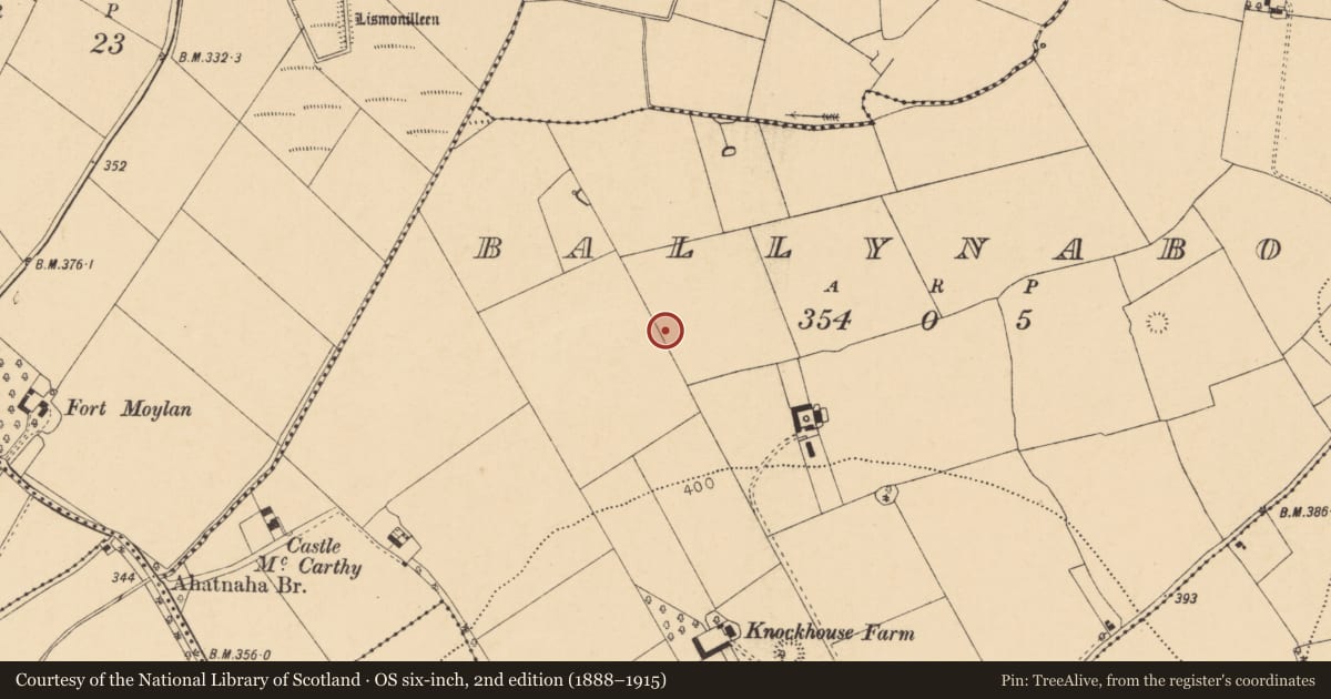 Ordnance Survey six-inch map, 2nd edition (1888–1915) covering the location of Ringfort - rath, Ballynaboul, County Cork, with a pin at the register's coordinates