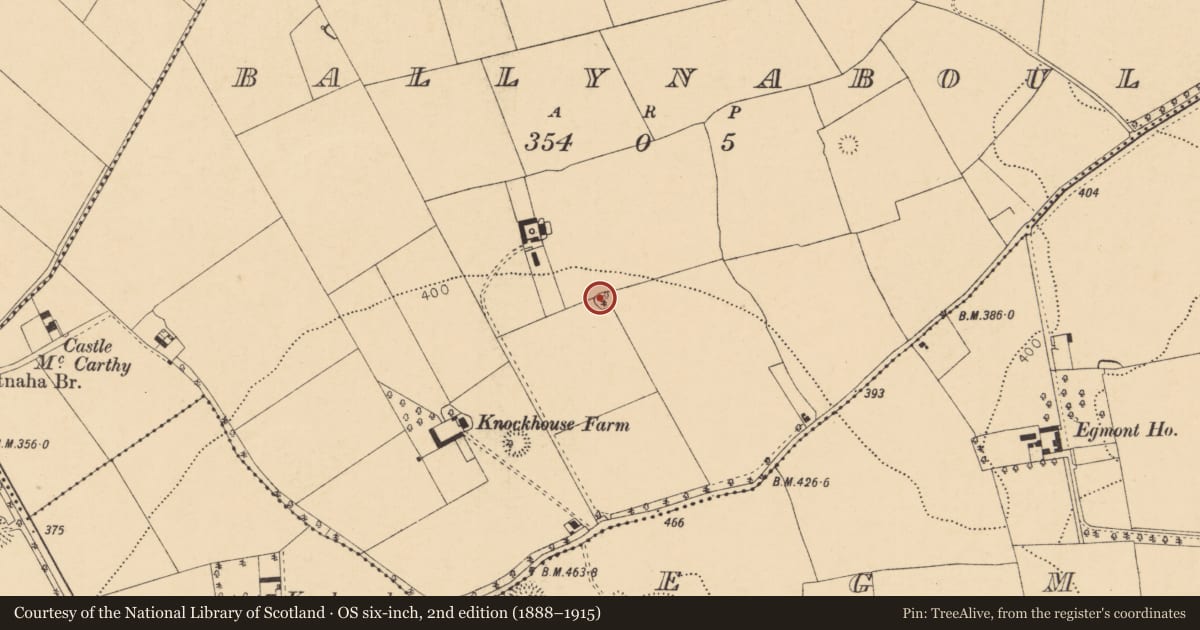 Ordnance Survey six-inch map, 2nd edition (1888–1915) covering the location of Ringfort - rath, Ballynaboul, County Cork, with a pin at the register's coordinates