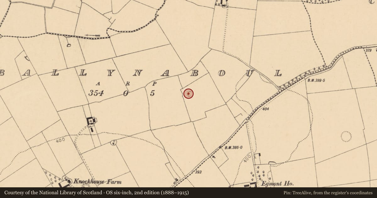 Ordnance Survey six-inch map, 2nd edition (1888–1915) covering the location of Ringfort - rath, Ballynaboul, County Cork, with a pin at the register's coordinates