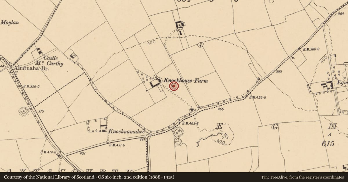 Ordnance Survey six-inch map, 2nd edition (1888–1915) covering the location of Ringfort - rath, Ballynaboul, County Cork, with a pin at the register's coordinates