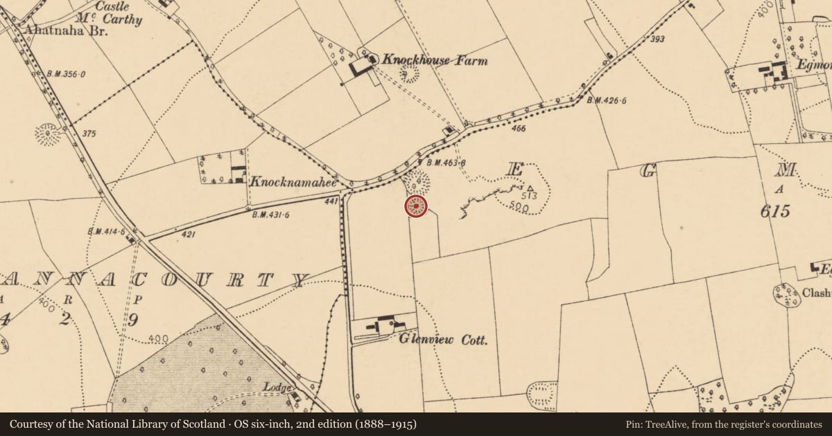 Ordnance Survey six-inch map, 2nd edition (1888–1915) covering the location of Ringfort - rath, Egmont, County Cork, with a pin at the register's coordinates