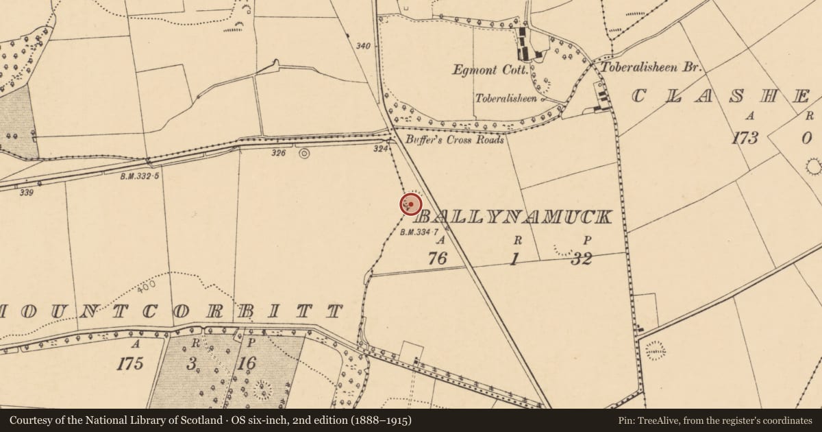 Ordnance Survey six-inch map, 2nd edition (1888–1915) covering the location of Ringfort - rath, Ballynamuck, County Cork, with a pin at the register's coordinates