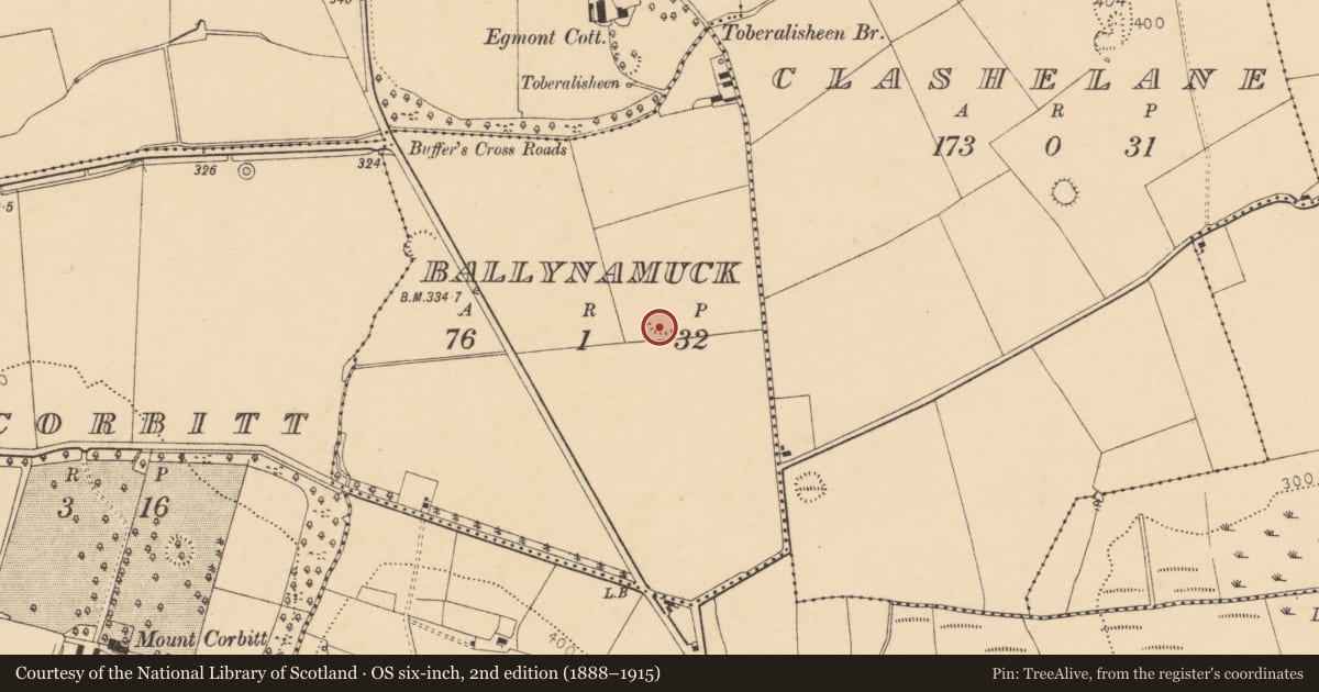 Ordnance Survey six-inch map, 2nd edition (1888–1915) covering the location of Ringfort - rath, Ballynamuck, County Cork, with a pin at the register's coordinates