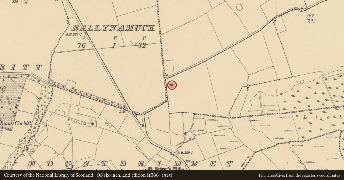 Ordnance Survey six-inch map, 2nd edition (1888–1915) covering the location of Quarry, Clashelane, County Cork, with a pin at the register's coordinates