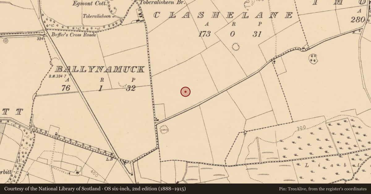 Ordnance Survey six-inch map, 2nd edition (1888–1915) covering the location of Quarry, Clashelane, County Cork, with a pin at the register's coordinates