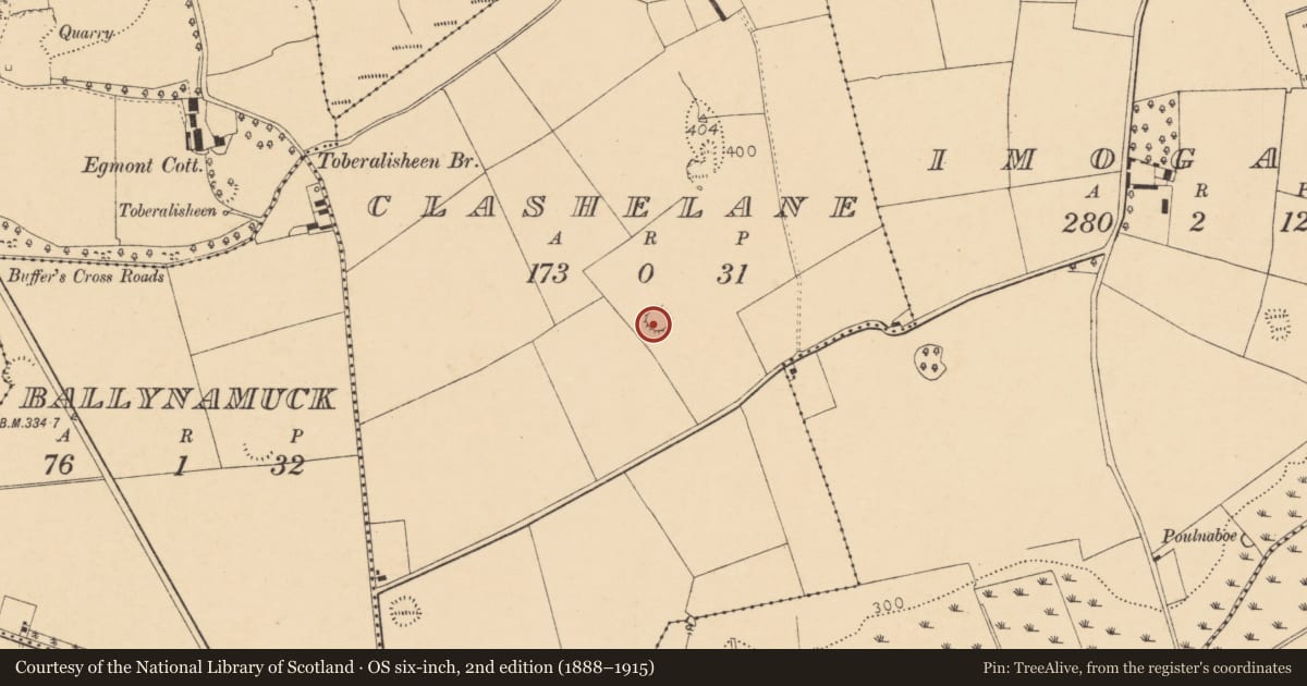 Ordnance Survey six-inch map, 2nd edition (1888–1915) covering the location of Ringfort - rath, Clashelane, County Cork, with a pin at the register's coordinates