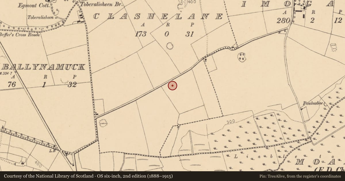 Ordnance Survey six-inch map, 2nd edition (1888–1915) covering the location of Ringfort - rath, Clashelane, County Cork, with a pin at the register's coordinates