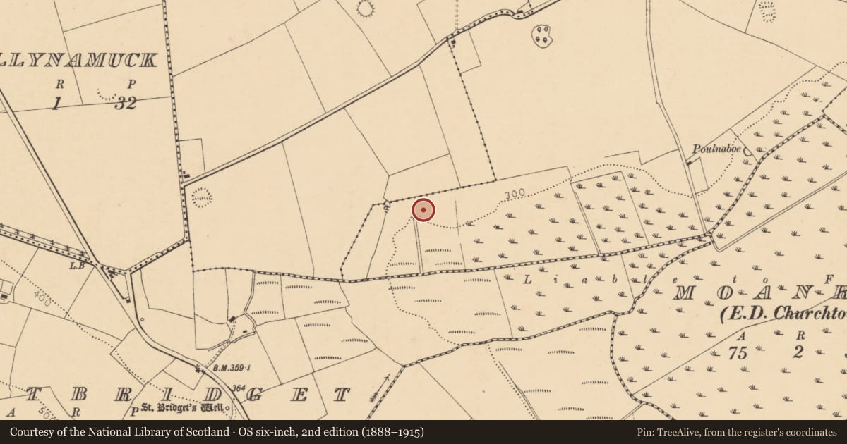 Ordnance Survey six-inch map, 2nd edition (1888–1915) covering the location of Fulacht fia, Imogane, County Cork, with a pin at the register's coordinates