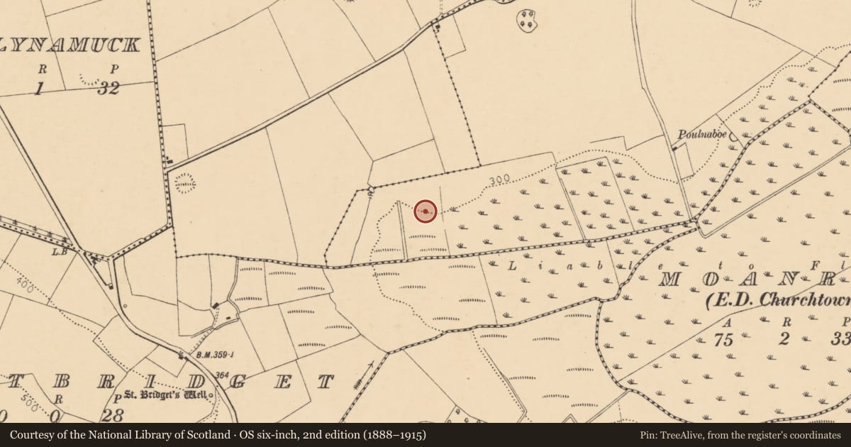 Ordnance Survey six-inch map, 2nd edition (1888–1915) covering the location of Fulacht fia, Imogane, County Cork, with a pin at the register's coordinates