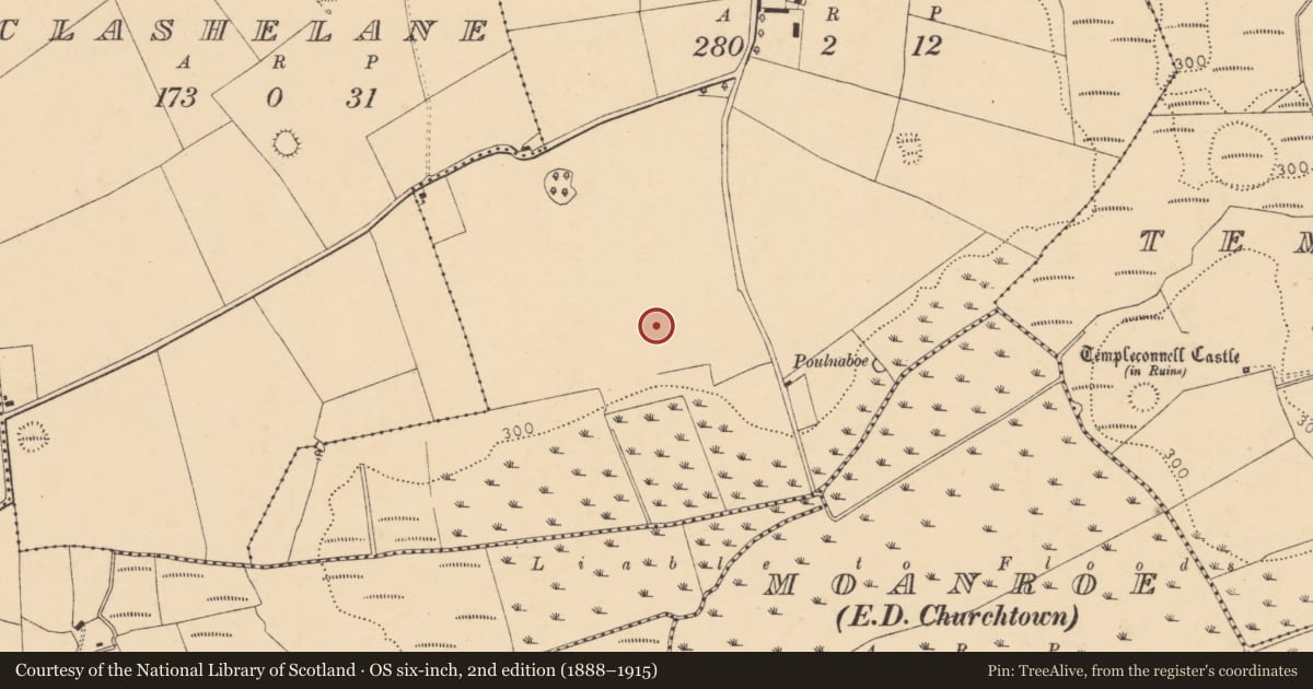 Ordnance Survey six-inch map, 2nd edition (1888–1915) covering the location of Ringfort - rath, Imogane, County Cork, with a pin at the register's coordinates