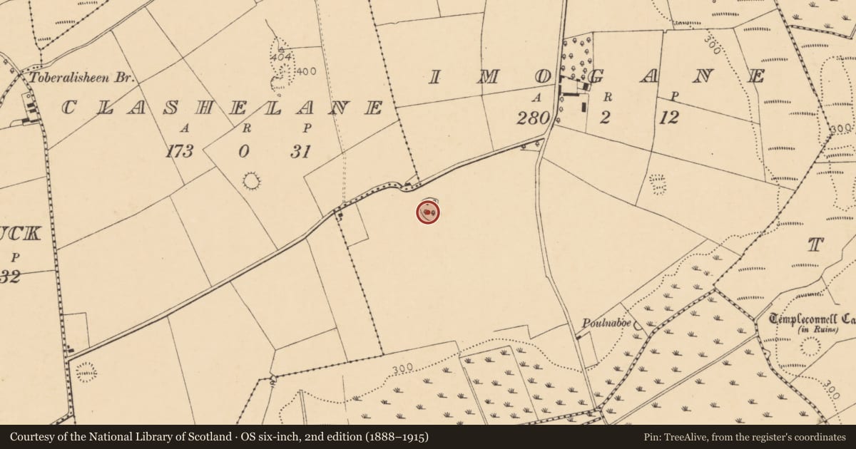 Ordnance Survey six-inch map, 2nd edition (1888–1915) covering the location of Ringfort - rath, Imogane, County Cork, with a pin at the register's coordinates