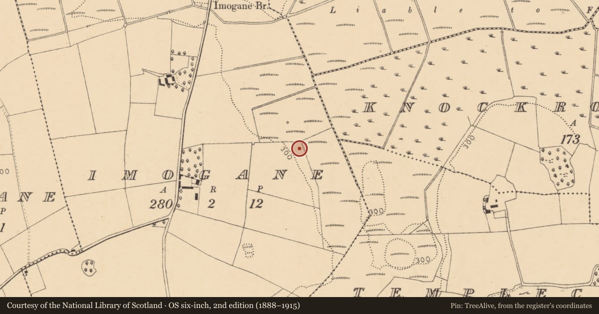 Ordnance Survey six-inch map, 2nd edition (1888–1915) covering the location of Fulacht fia, Imogane, County Cork, with a pin at the register's coordinates