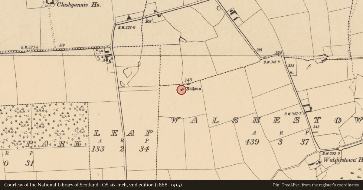 Ordnance Survey six-inch map, 2nd edition (1888–1915) covering the location of Standing stone, Walshestown, County Cork, with a pin at the register's coordinates