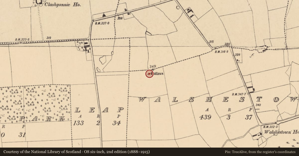 Ordnance Survey six-inch map, 2nd edition (1888–1915) covering the location of Burial ground, Walshestown, County Cork, with a pin at the register's coordinates