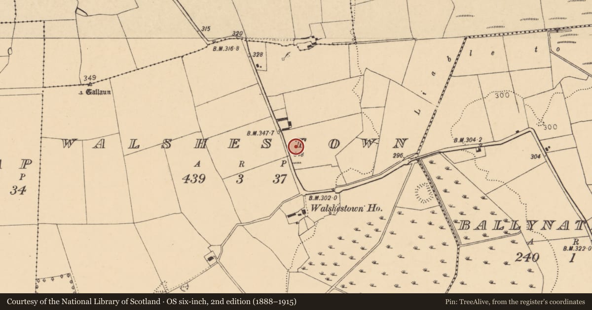 Ordnance Survey six-inch map, 2nd edition (1888–1915) covering the location of Mound, Walshestown, County Cork, with a pin at the register's coordinates