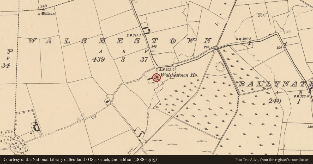 Ordnance Survey six-inch map, 2nd edition (1888–1915) covering the location of Country house, Walshestown, County Cork, with a pin at the register's coordinates