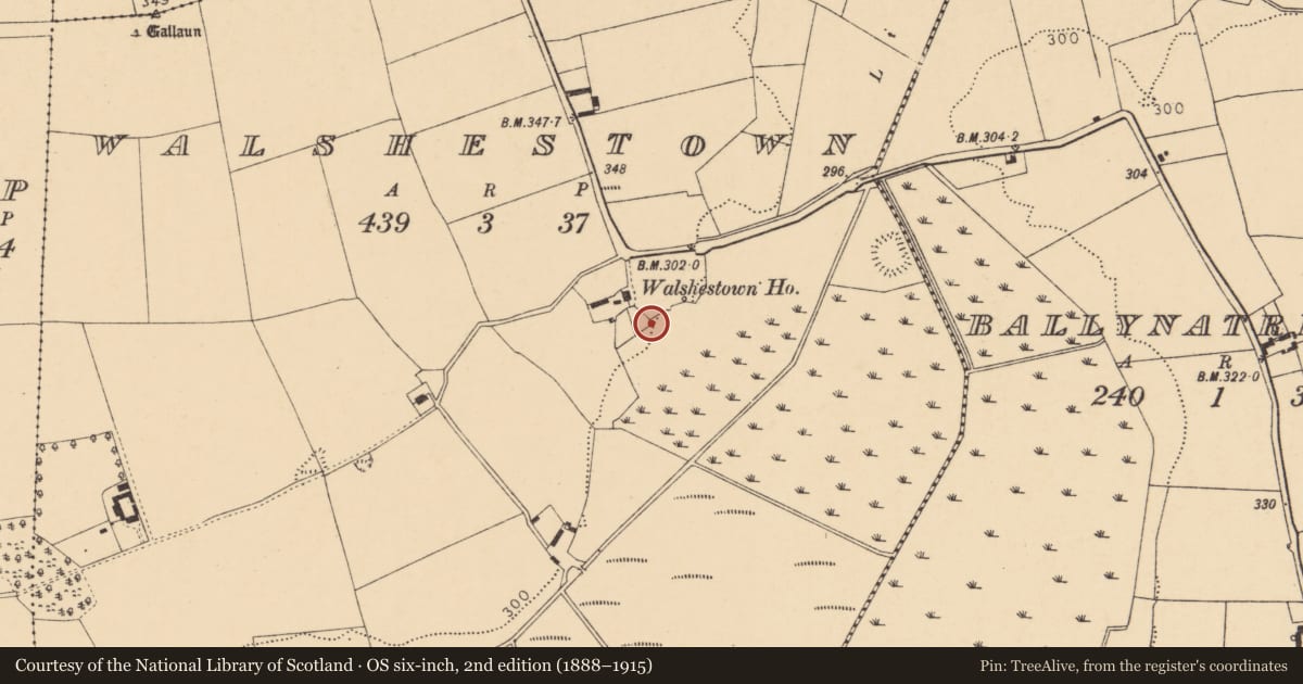Ordnance Survey six-inch map, 2nd edition (1888–1915) covering the location of Castle - unclassified, Walshestown, County Cork, with a pin at the register's coordinates