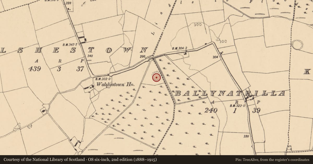 Ordnance Survey six-inch map, 2nd edition (1888–1915) covering the location of Moated site, Walshestown, County Cork, with a pin at the register's coordinates