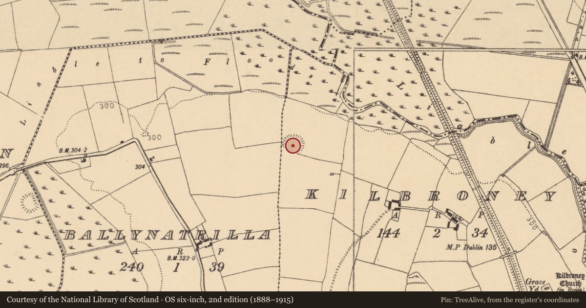 Ordnance Survey six-inch map, 2nd edition (1888–1915) covering the location of Ringfort - rath, Kilbroney, County Cork, with a pin at the register's coordinates