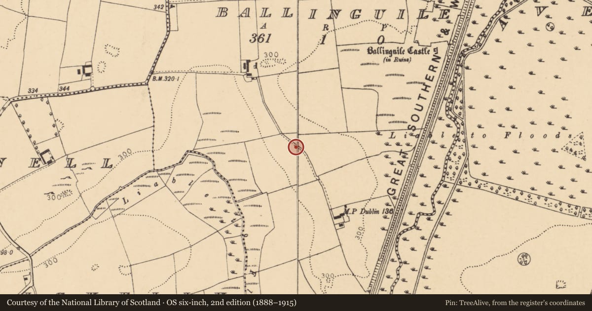 Ordnance Survey six-inch map, 2nd edition (1888–1915) covering the location of Ringfort - rath, Ballinguile, County Cork, with a pin at the register's coordinates