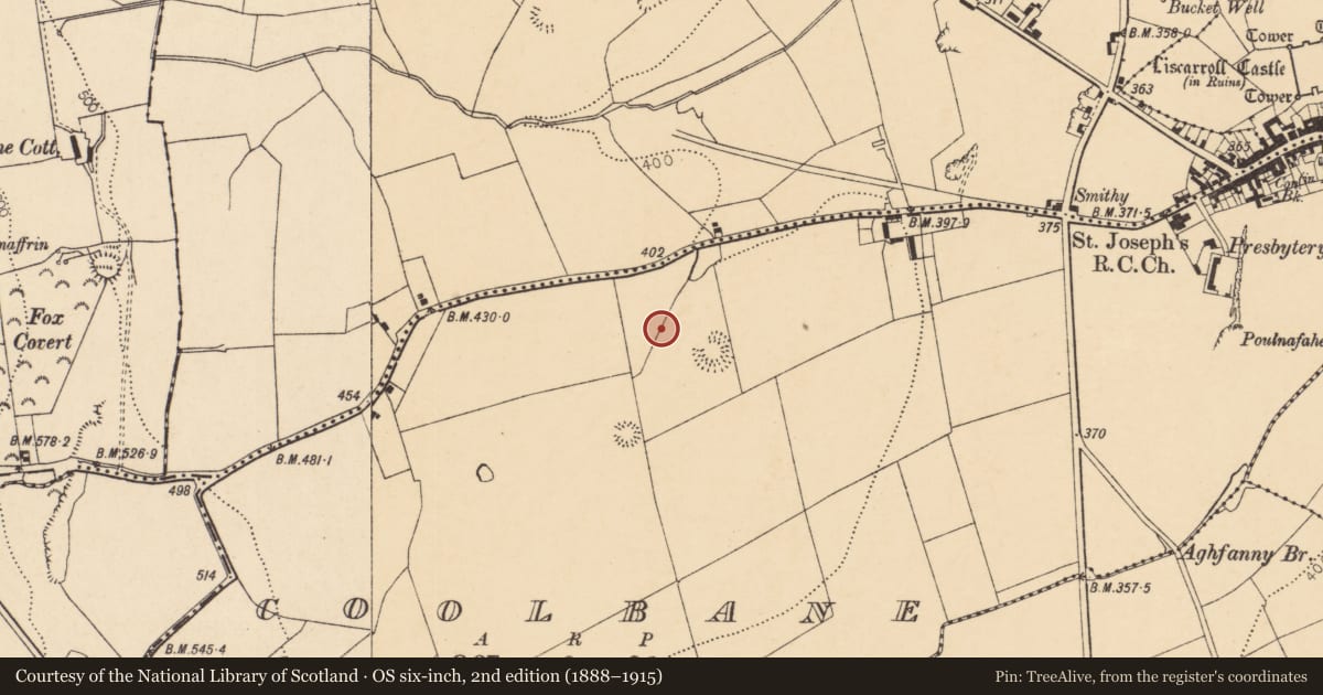 Ordnance Survey six-inch map, 2nd edition (1888–1915) covering the location of Fulacht fia, Coolbane, County Cork, with a pin at the register's coordinates
