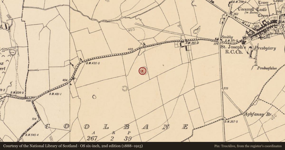 Ordnance Survey six-inch map, 2nd edition (1888–1915) covering the location of Ringfort - rath, Coolbane, County Cork, with a pin at the register's coordinates