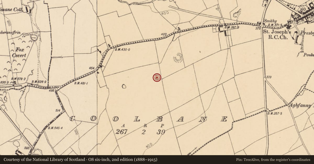 Ordnance Survey six-inch map, 2nd edition (1888–1915) covering the location of Ringfort - rath, Coolbane, County Cork, with a pin at the register's coordinates