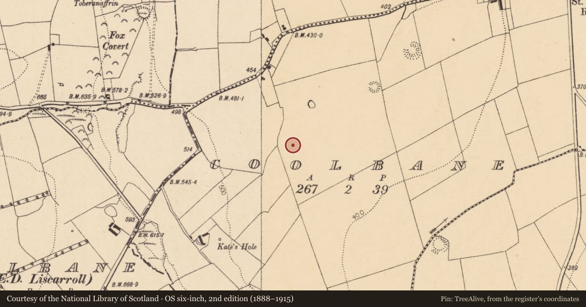 Ordnance Survey six-inch map, 2nd edition (1888–1915) covering the location of Enclosure, Coolbane, County Cork, with a pin at the register's coordinates