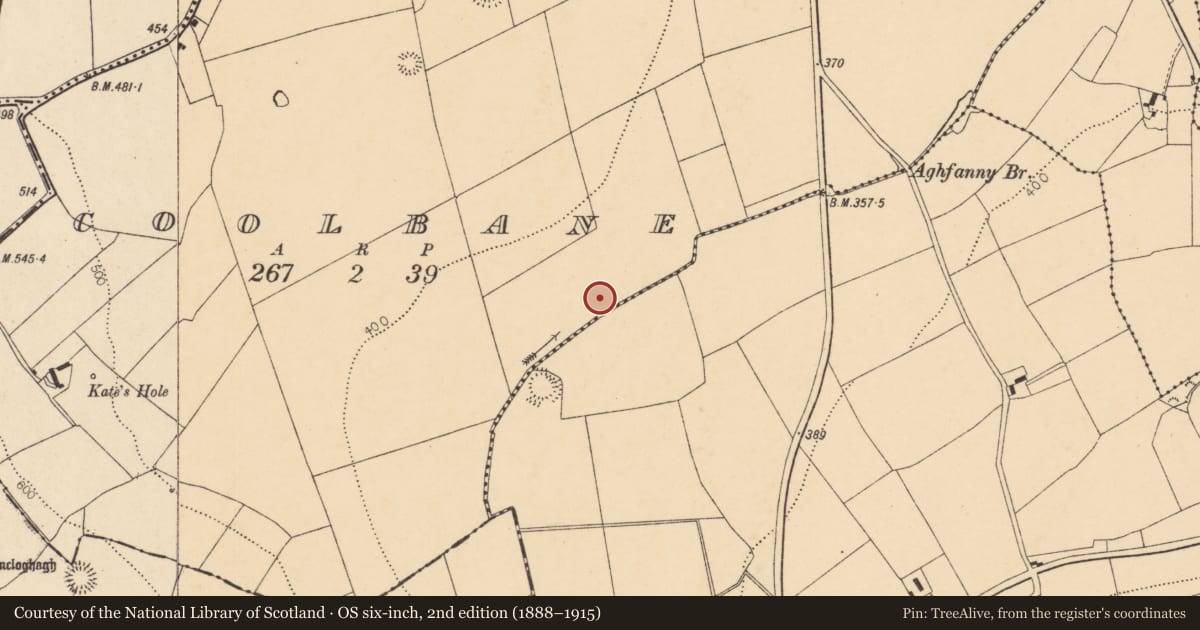 Ordnance Survey six-inch map, 2nd edition (1888–1915) covering the location of Fulacht fia, Coolbane, County Cork, with a pin at the register's coordinates
