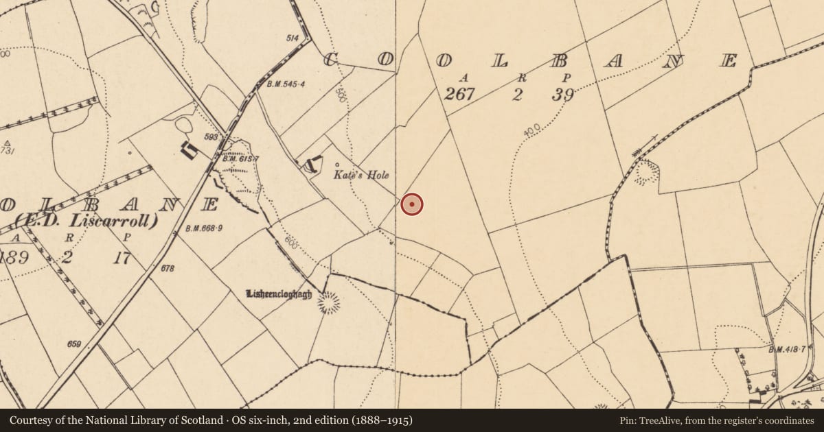 Ordnance Survey six-inch map, 2nd edition (1888–1915) covering the location of Fulacht fia, Coolbane, County Cork, with a pin at the register's coordinates